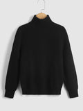 Tween Boy Turtleneck Ribbed Knit Sweater