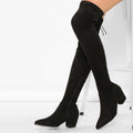 Pointy Toe Chunky Low Heel Thigh High Boots