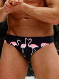 Men Flamingo Print Swim Brief