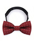 1pc Kids' Bow Tie With Bowknot Decorations For Boys And Girls, Children's Performance Accessory