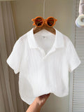 1pc Young Boys' Casual And Comfortable Short Sleeve Polo Shirt, Versatile Soft Textured Fabric, Breathable And Suitable For Spring And Summer, Ideal For Back To School And Birthday.