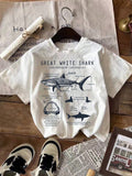 Young Boy Summer Casual Shark Slogan Print Short Sleeve T-Shirt